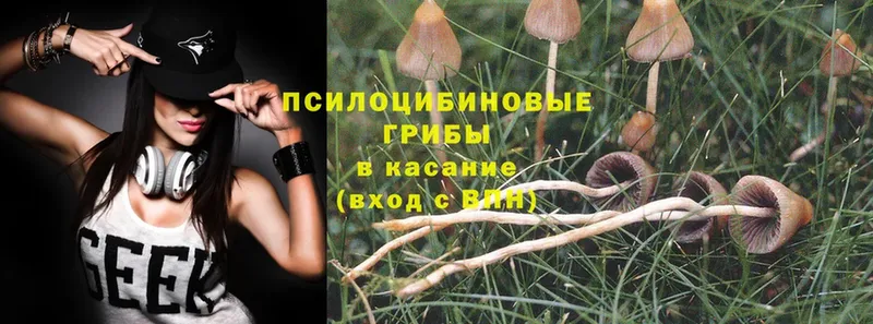 Галлюциногенные грибы Magic Shrooms Пугачёв